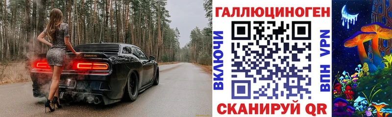 Купить  Новокузнецк  Галлюциногенные грибы Psilocybe 